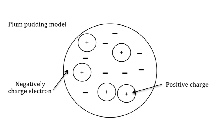 Plum pudding model