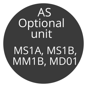 AQA AS optional unit