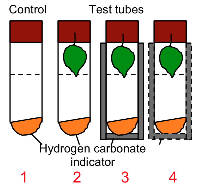 Hydrogen-carbonate indicator solution